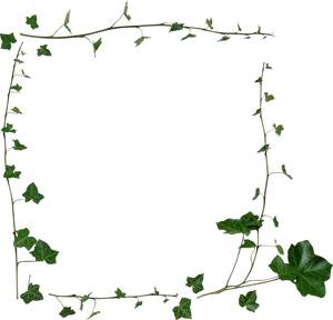 Publicat De Eu Ciresica La - Vine Border Transparent Background, HD Png Download PNG image with transparent background