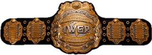 Iwgp Heavyweight Championship Belt - New Iwgp Heavyweight Championship Belt, HD Png Download PNG image with transparent background