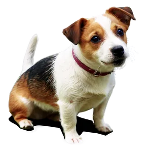 Jack Russell Dog Png Fdo PNG Image