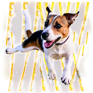 Jack Russell In Action Png Gus2 PNG Image