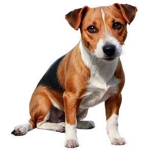 Jack Russell Terrier Illustration Png Fmp PNG Image