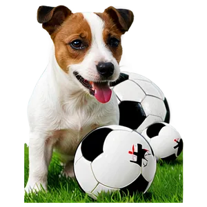 Jack Russell With Ball Png Mfs14 PNG Image