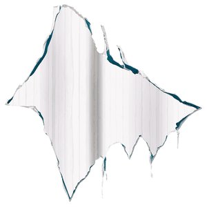 Jagged Paper Rip PNG 05252024 PNG