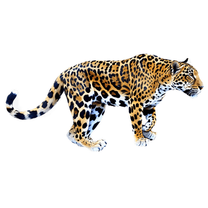 Jaguar Animal PNG gso30 PNG image with transparent background