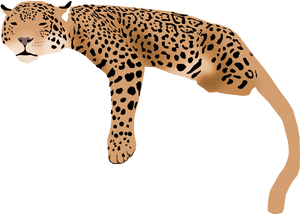 Jaguar Transparent Cartoon - Jaguar, HD Png Download PNG image with transparent background