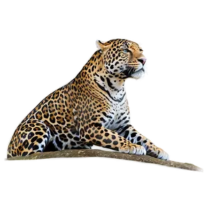 Jaguars Mating Rituals Png Nbh PNG Image