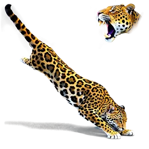 Jaguars On The Hunt Png 06252024 PNG Image