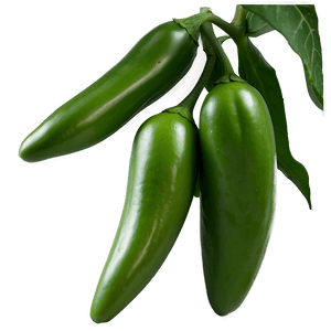 Jalapeno Pepper Plant PNG 06132024 PNG with transparent background