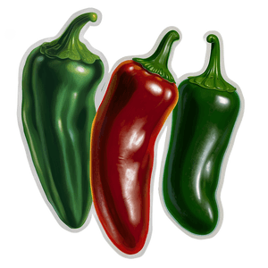 Jalapeno Pepper PNG oox PNG image with transparent background