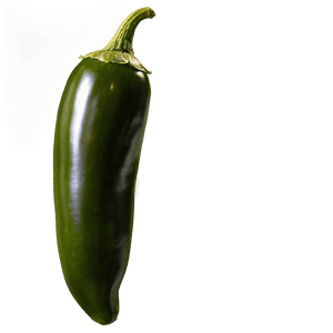 Jalapeno Seeds PNG 88 PNG with transparent background