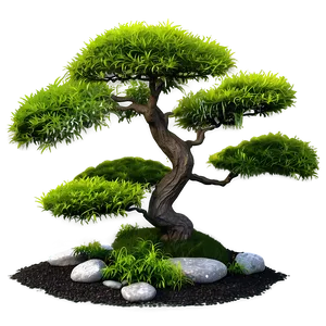 Japanese Garden Shrubs Png Bvf PNG Image