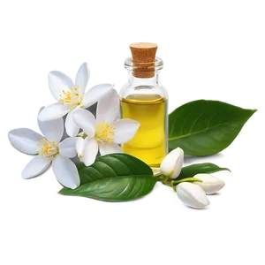 Jasmine Essential Oil Png 06292024 PNG Image