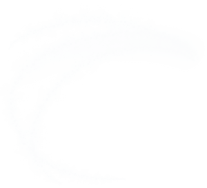 Aesthetic Theme Photography PNG Photo PNG image with transparent background