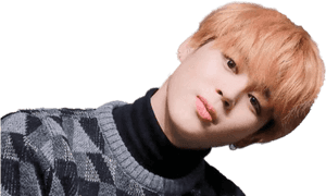 Jiminin Plaid Sweater PNG image with transparent background