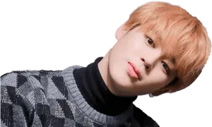 Jiminin Plaid Sweater PNG Image