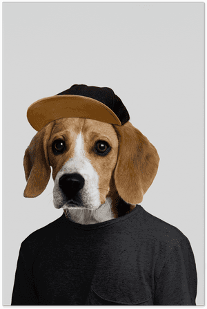Joey The Beagle Art Card - Beagle Poster, HD Png Download PNG image with transparent background