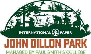 International Paper, HD Png Download PNG image with transparent background