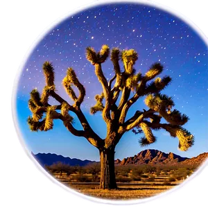 Joshua Tree Under Moonlight Png 06262024 PNG Image