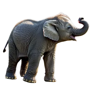 Joyful Baby Elephant Png Qrh11 PNG Image