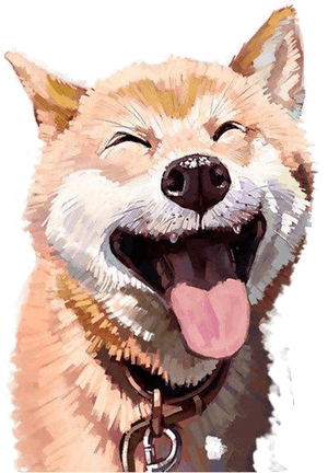 Transparent Dog Cat Png - Dog Laughing Transparent Background, Png Download PNG image with transparent background
