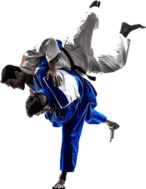 Judo Throw Action PNG Image