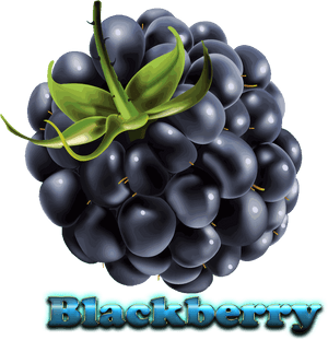 Blackberry Free Download Png - Ежевика На Прозрачном Фоне, Transparent Png PNG image with transparent background