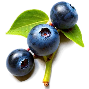 Juicy Blueberries Png 05242024 PNG Image