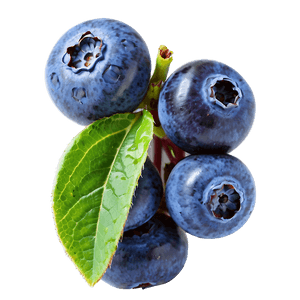 Juicy Blueberries PNG 05242024 PNG image with transparent background