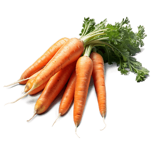 Juicy Carrot PNG 19 PNG image with transparent background