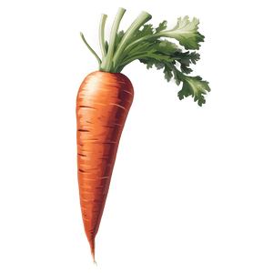 Juicy Carrot PNG obw36 PNG image with transparent background