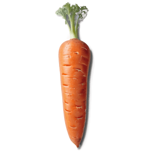 Juicy Carrot PNG rqp PNG image with transparent background