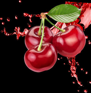 Transparent Fruit Tree Png - Cherry Png, Png Download PNG image with transparent background