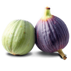 Juicy Fig Image PNG 19 PNG