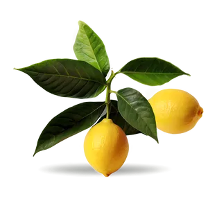 Juicy Lemons Png Qcb PNG Image