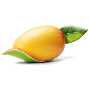 Juicy Mango Slice PNG 36 PNG