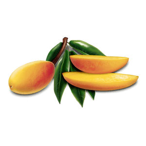 Juicy Mango Slice PNG myr PNG