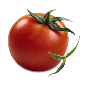 Juicy Tomato Slice Png Jkw5 PNG Image