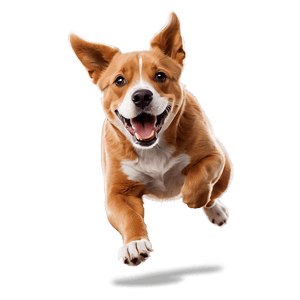 Jumping Dog Cartoon PNG 06242024 PNG image with transparent background