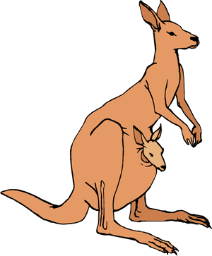 Jumping Kangaroo Clipart Free - Transparent Background Kangaroo Clip Art, HD Png Download PNG image with transparent background