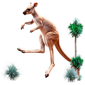 Jumping Kangaroo PNG yht PNG image with transparent background
