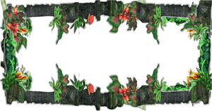 Jungle Frame Border Design PNG image with transparent background
