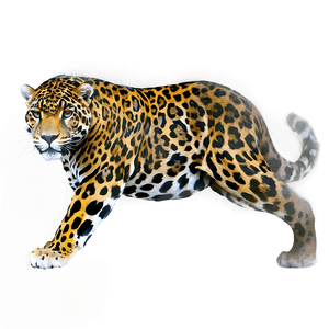 Jungle Jaguar PNG 26 PNG image with transparent background