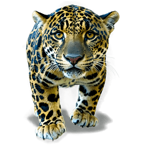 Jungle Jaguar PNG mjs82 PNG image with transparent background