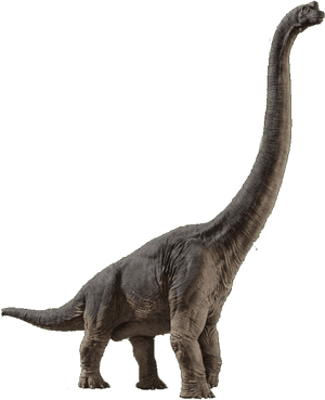 Jurassic Brachiosaurus Profile PNG image with transparent background
