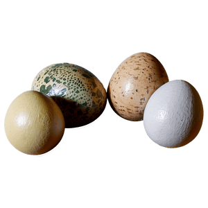 Jurassic Park Dino Eggs PNG nmr PNG image with transparent background