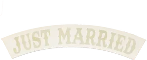 Just Married Banner PNG Image