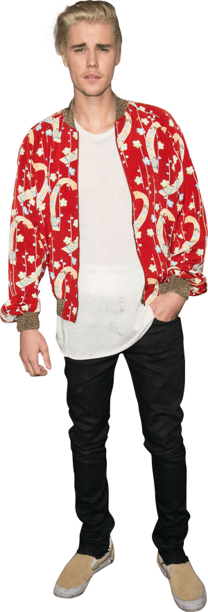 Justin Bieber Png 2016, Transparent Png PNG image with transparent background