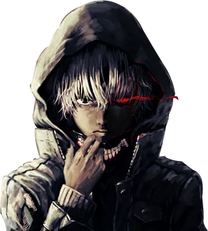 Kaneki Ken Hooded Ghoul Artwork PNG Image