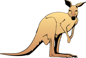 Kangaroo Clipart, HD Png Download PNG image with transparent background
