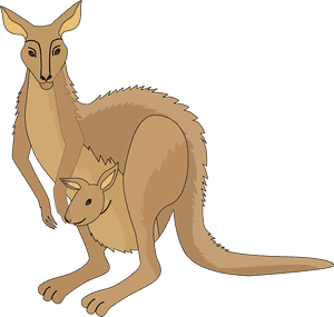 Kangaroo Clipart - Kangaroo, HD Png Download PNG image with transparent background